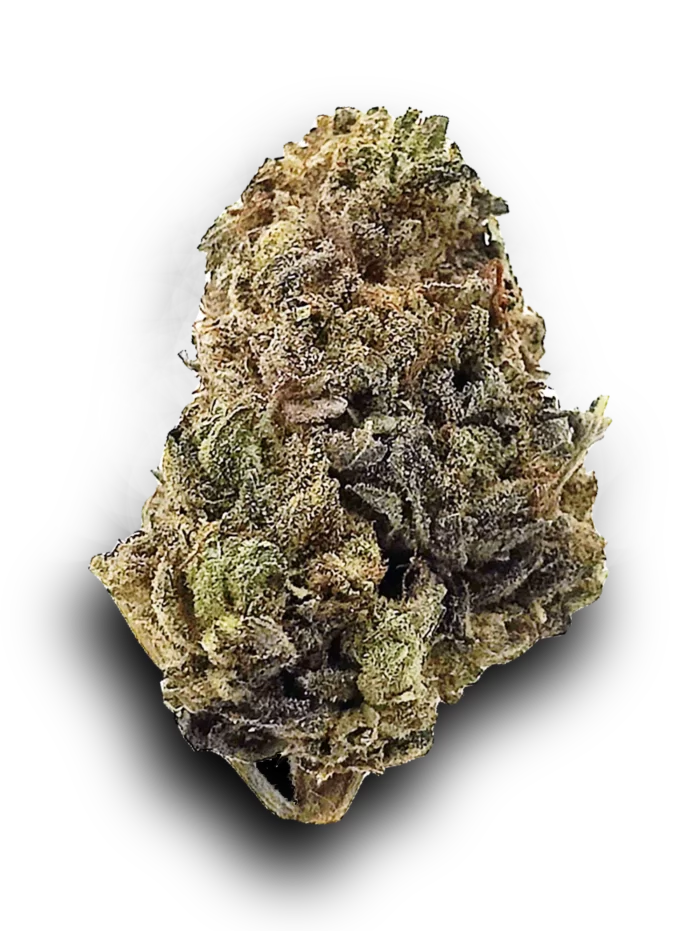 Rockstar Bubba Indica strain Cannabis Buds