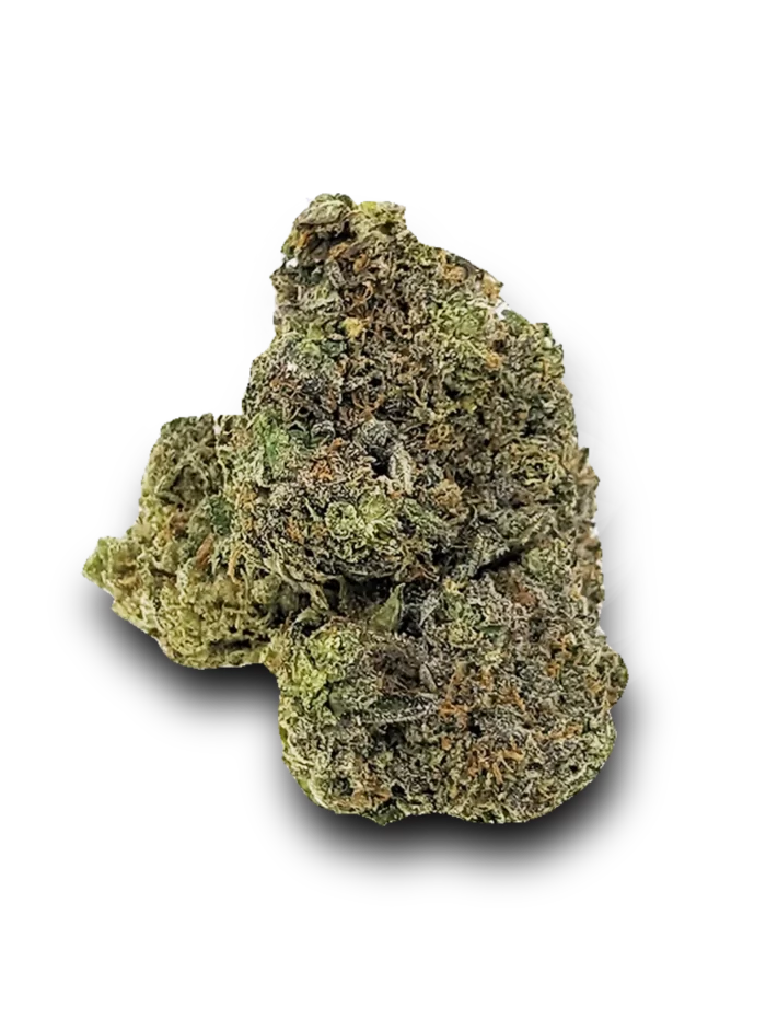 Close-up of White Guava strain Cannabis Buds - A Hybrid Cannabis Strain